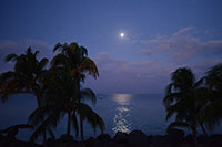 View_by_moonlight