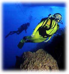 Snorkelling Magazine Beach Grenada